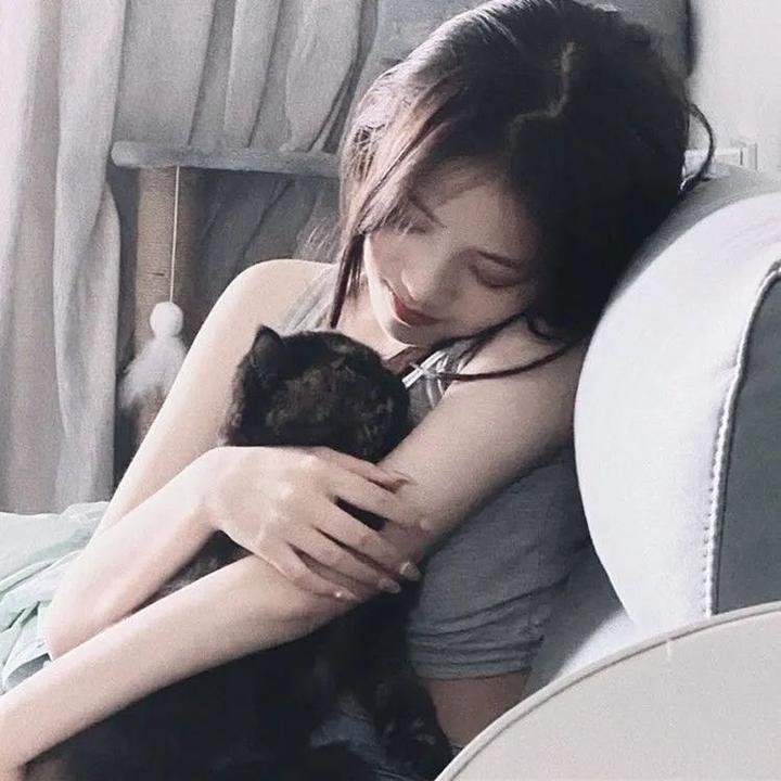 2026热门内容精选第035期